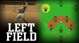 Baseball Positions: All 9 Fielding Positions Explained